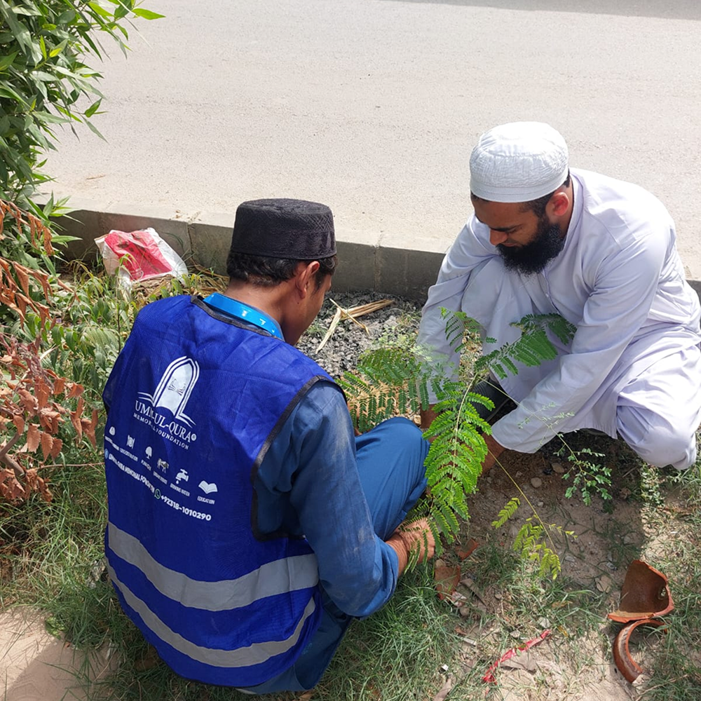 IMG-20251011-WA0113 1