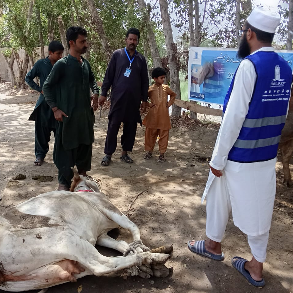 IMG-20251011-WA0113 11