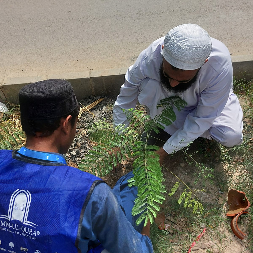 IMG-20251011-WA0113 3