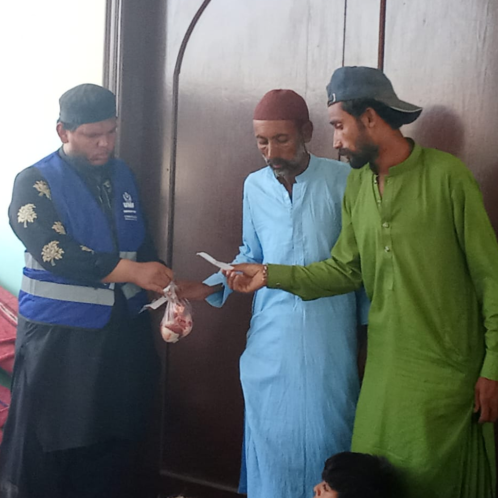 IMG-20251011-WA0113 8